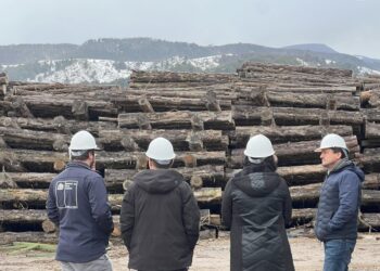 Autoridades constatan avances en la implementación de primera planta regional de pellet