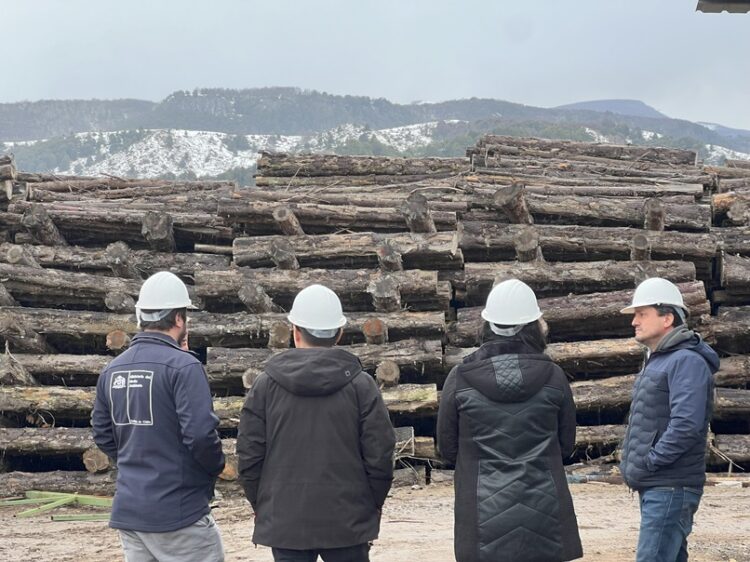 Autoridades constatan avances en la implementación de primera planta regional de pellet