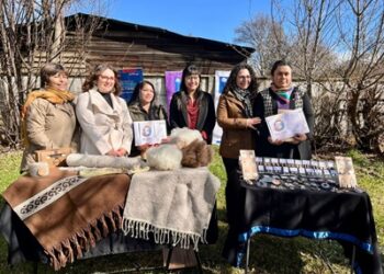 Tres representantes regionales viajarán a Santiago a la XI Expo Feria Mujeres Emprendedoras Indígenas de SernamEG y Conadi