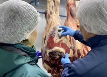 Seremis de Agricultura y Salud llaman al autocuidado para consumo de carnes en fiestas patrias