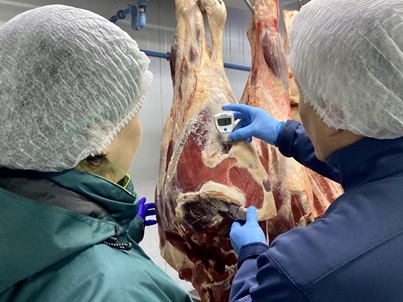 Seremis de Agricultura y Salud llaman al autocuidado para consumo de carnes en fiestas patrias