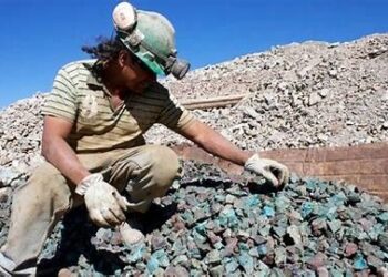 El 11 de septiembre es el último día para Postular al Programa PAMMA Equipa 2024