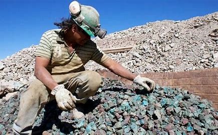 El 11 de septiembre es el último día para Postular al Programa PAMMA Equipa 2024