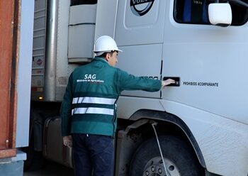 SAG Aysén entrega recomendaciones para viajar durante Fiestas Patrias