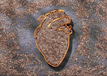 Nuevo estudio respalda el impacto de la chía en la prevención de riesgos cardiovasculares