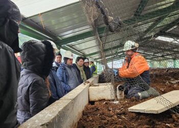 Empresas Bahamonde se posiciona como líder en economía circular regional tras encuentro en Puerto Aysén