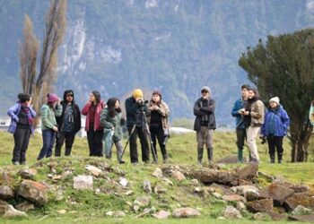 Turismo de la Municipalidad de Aysén realizó exitoso taller sobre avistamiento de aves de la comuna
