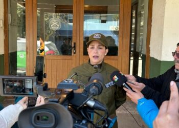 Carabineros de Coyhaique detuvo a sujeto por lesiones graves en contexto de violencia intrafamiliar