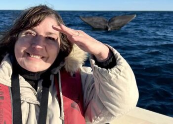 Argentina especialista en conservación marina aclara que “no estoy a favor de las salmoneras, para nada”