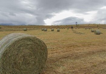 Programa FNDR Suelos Aysén: Agricultura desarrolla inducción para capacitar a operadores