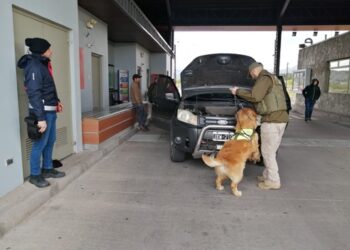 Carabineros del OS-7 Aysén junto Aduanas y SAG intensifican controles antidrogas en paso Jeinimeni en Chile Chico