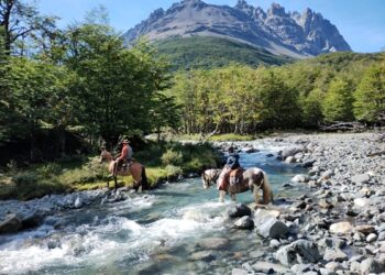 Senadores aprueban por unanimidad proyecto de acuerdo para la creación del área protegida «Torres del Avellano»