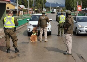 Carabineros Aysén realizó más de 2.600 controles y detuvo a 22 personas durante el fin de semana largo