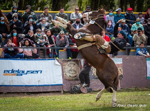 La Agrupación de Jineteadas y Tradiciones de la Patagonia expresa su desilusión por el incumplimiento de promesas de financiamiento