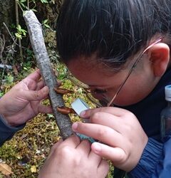 Una nueva versión de la “Ranita de Darwin” se realizó en el  Parque Nacional Queulat.
