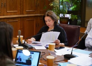 Senadora Órdenes por licencias médicas fraudulentas: “Es preocupante que existan médicos que están emitiendo licencias cada hora y media”