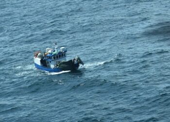 Corte de apelaciones de Coyhaique condena a armador al pago de 120 UTM por realizar pesca ilegal