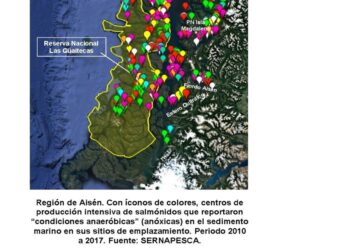 Liberan completo informe sobre el impacto ambiental de 30 años de salmoneras en áreas protegidas de Aysén