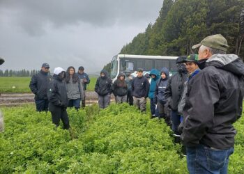 INIA finaliza con éxito el ciclo 2024 del Grupo de Extensión Tecnológica (GET) de Técnicos Agrícolas