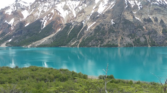48,3 % DE LA SUPERFICIE TOTAL DE AYSÉN CORRESPONDE AL SUBUSO BOSQUE NATIVO