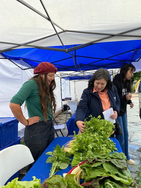 PRIMERA EDICIÓN DE EXPO JUVENTUDES RURALES: JÓVENES DE INDAP PROMUEVEN ALIMENTACIÓN CONSCIENTE Y DESARROLLO SOSTENIBLE