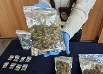 BRIGADA INVESTIGADORA DE ROBOS DE COYHAIQUE DETIENE A MENORES POR EL DELITO DE TRÁFICO DE DROGAS