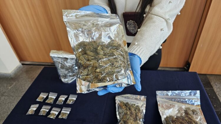 BRIGADA INVESTIGADORA DE ROBOS DE COYHAIQUE DETIENE A MENORES POR EL DELITO DE TRÁFICO DE DROGAS