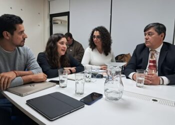 Trabajo intersectorial busca avanzar en coberturas sociales y de salud mental para usuarios de la región