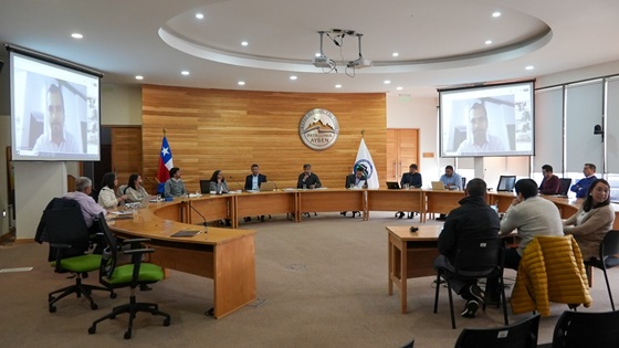 Comité de Desarrollo Productivo Aysén fija ejes estratégicos y aprueba presupuesto 2025