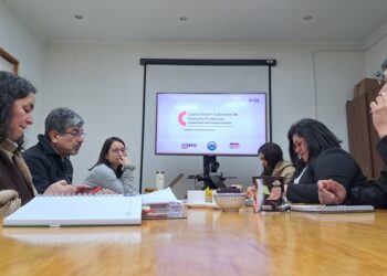 Con casi 2 mil millones de pesos, el Comité de Desarrollo Productivo Aysén impulsó la descentralización y la innovación en 2024