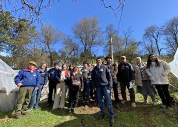 INDAP AYSÉN CIERRA EL AÑO 2024 CON UNA DESTACADA EJECUCIÓN PRESUPUESTARIA AL SERVICIO DE LA AGRICULTURA FAMILIAR CAMPESINA E INDÍGENA EN AYSÉN