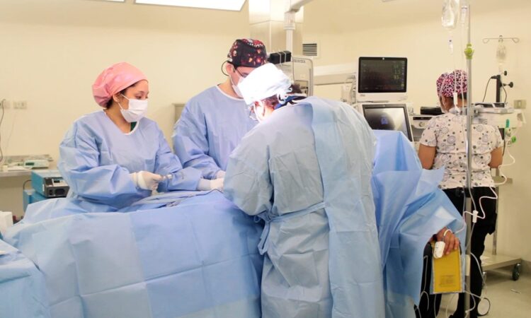 Servicio de Salud Aysén supera en el 2024 las atenciones pre pandemia