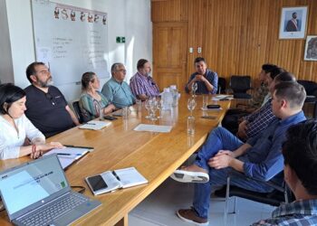 Corfo busca la transformación del sector forestal en Aysén con innovación y sostenibilidad