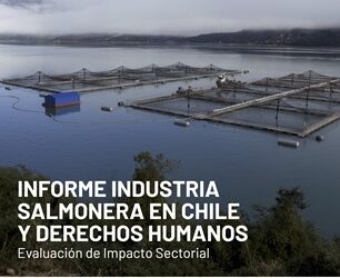 Cuestionamientos laborales a salmonicultura reviven informe que denuncia graves vulneraciones en derechos humanos