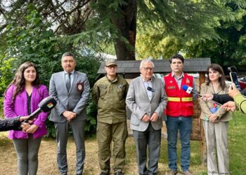 Positivo balance de seguridad en la región de Aysén durante las fiestas de Año Nuevo