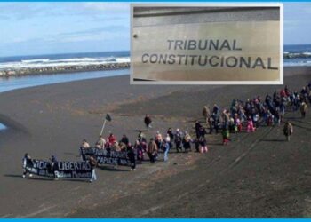 Terminó la espera: Tribunal Constitucional declara inconstitucional indicación contra Ley Lafkenche y  protege derechos indígenas