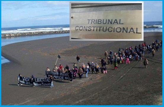 Terminó la espera: Tribunal Constitucional declara inconstitucional indicación contra Ley Lafkenche y protege derechos indígenas