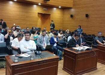 Histórica intervención de Pueblos Originarios en el Tribunal Constitucional: Expectación por fallo sobre indicación que suspende la Ley Lafkenche