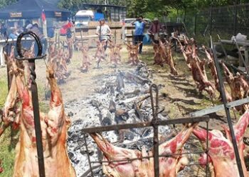 FESTIVAL CHIVERO DE RÍO IBÁÑEZ 2025 INVITA A DISFRUTAR DE TRADICIONES CAMPESINAS Y GASTRONOMÍA LOCAL EN SU TERCERA VERSIÓN