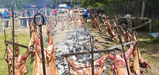 FESTIVAL CHIVERO DE RÍO IBÁÑEZ 2025 INVITA A DISFRUTAR DE TRADICIONES CAMPESINAS Y GASTRONOMÍA LOCAL EN SU TERCERA VERSIÓN