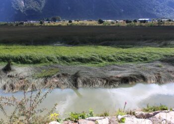 Municipalidad de Aysén defiende retiro de solicitud de reconocimiento del humedal urbano «Las Ranas»