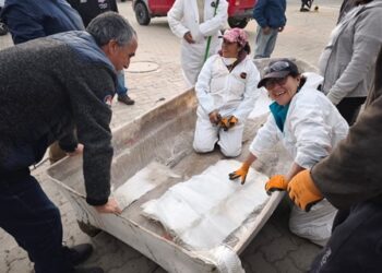 Aysén: Más de 500 pescadores y pescadoras artesanales se perfeccionaron en enfibrado de embarcaciones, confección de redes y artes de pesca