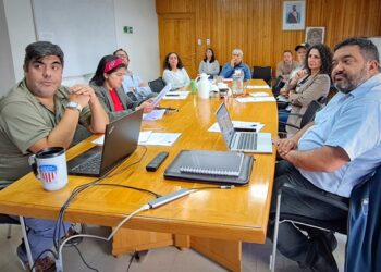 Un total de 261 iniciativas postularon al DFL-15 2025 en la Región de Aysén