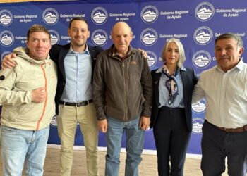 Tres solicitudes de concesión gratuita de inmuebles fiscales fueron aprobadas por el Consejo Regional de Aysén