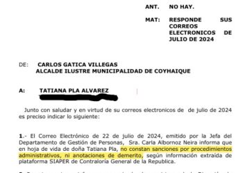 Denuncian ante el Tribunal Supremo del PS a Fabián Aniñir y Paulina Schwaner por acusaciones infundadas