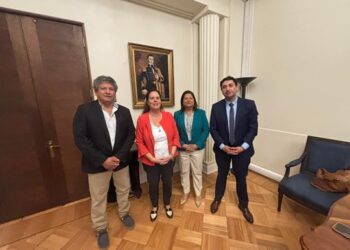 Diputados de Aysén confirman con Ministra de Defensa nuevo vuelo de avión de la Fach y piden que sea un servicio permanente  