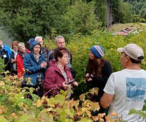 Villa Mañihuales recibe turistas de cruceros, a través de su recién creada Cooperativa de Turismo Rural “Ruta Siete Tours”