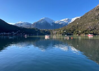 Guaitecas, Cisnes, Río Ibáñez, Chile Chico, Cochrane, Tortel y O´Higgins nuevamente se suman a «Saca tu permiso rural» 2025