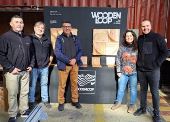 Arquitecta aysenina lidera proyecto que da nuevo valor a la madera nativa residual