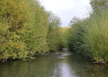 IMPULSAN RECUPERACIÓN DE ESPACIOS NATURALES CON INTERVENCIÓN EN ARROYO TAMANGO Y PROYECTO EN EL RÍO COCHRANE